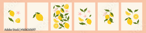 Set of citrus fruits abstract poster. Contemporary print with hand drawn lemon, leaves and flowers. Dolce vita aesthetics. Italian summer vacation. Elegant design for card, banner, menu, cover