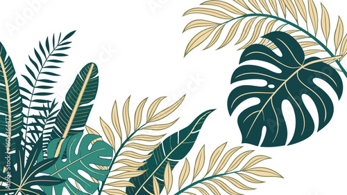 Elegant tropical foliage arrangement featuring lush green monstera leaves and palm fronds against a white background perfect for design projects