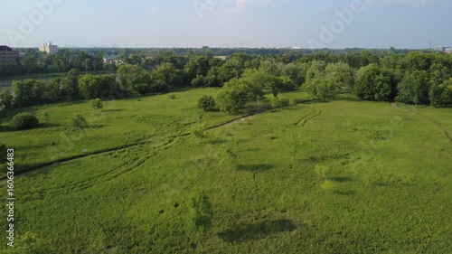 Landscape with green grass and trees