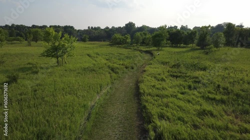 Summer trail road