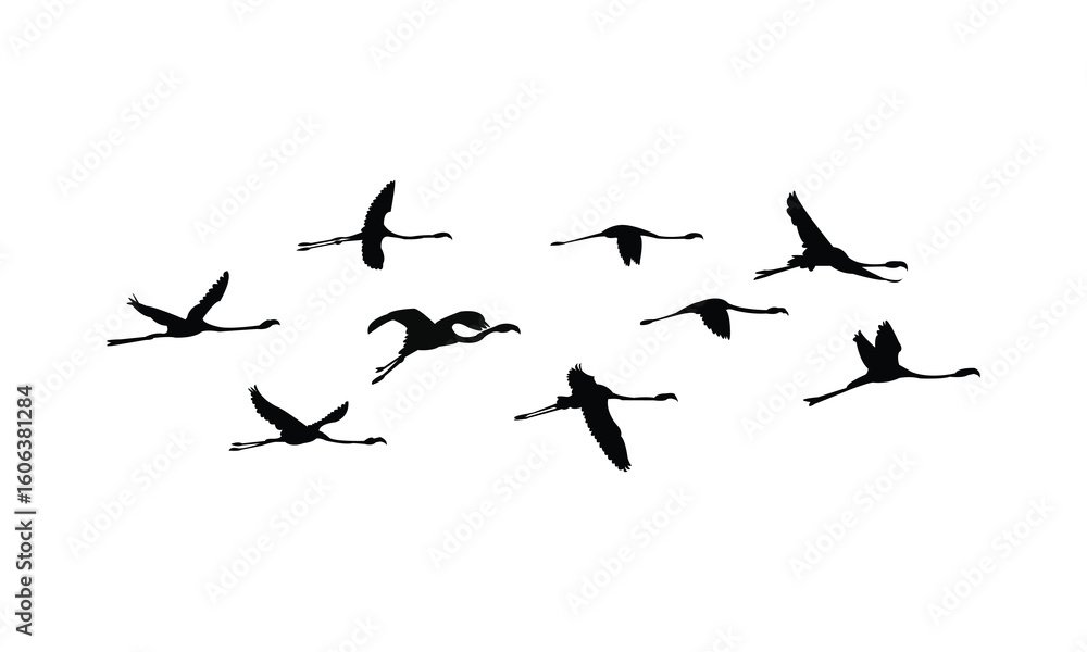 Fototapeta premium Flying American flamingo bird Silhouette Design And Vector Illustration. 