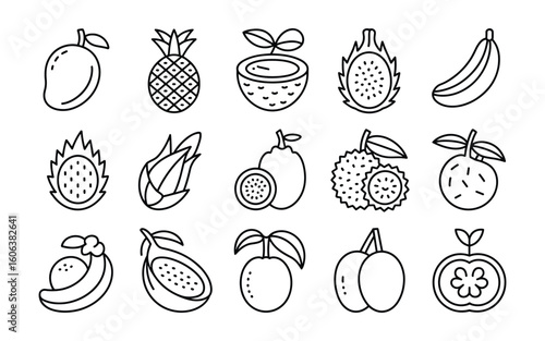 Tropical and Exotic Fruits Vector Set - Healthy Food, Organic, and Natural Produce Icons