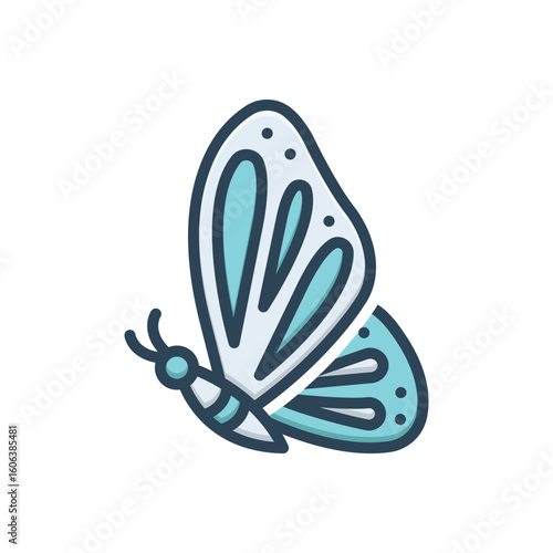 Color illustration icon for butterfly