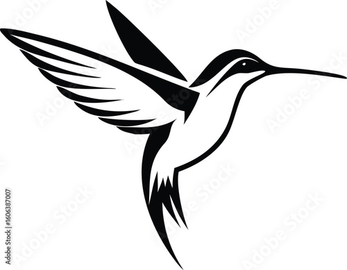  silhouette of humming bird on vector
