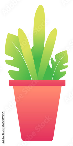 plant in flowerpot decoration