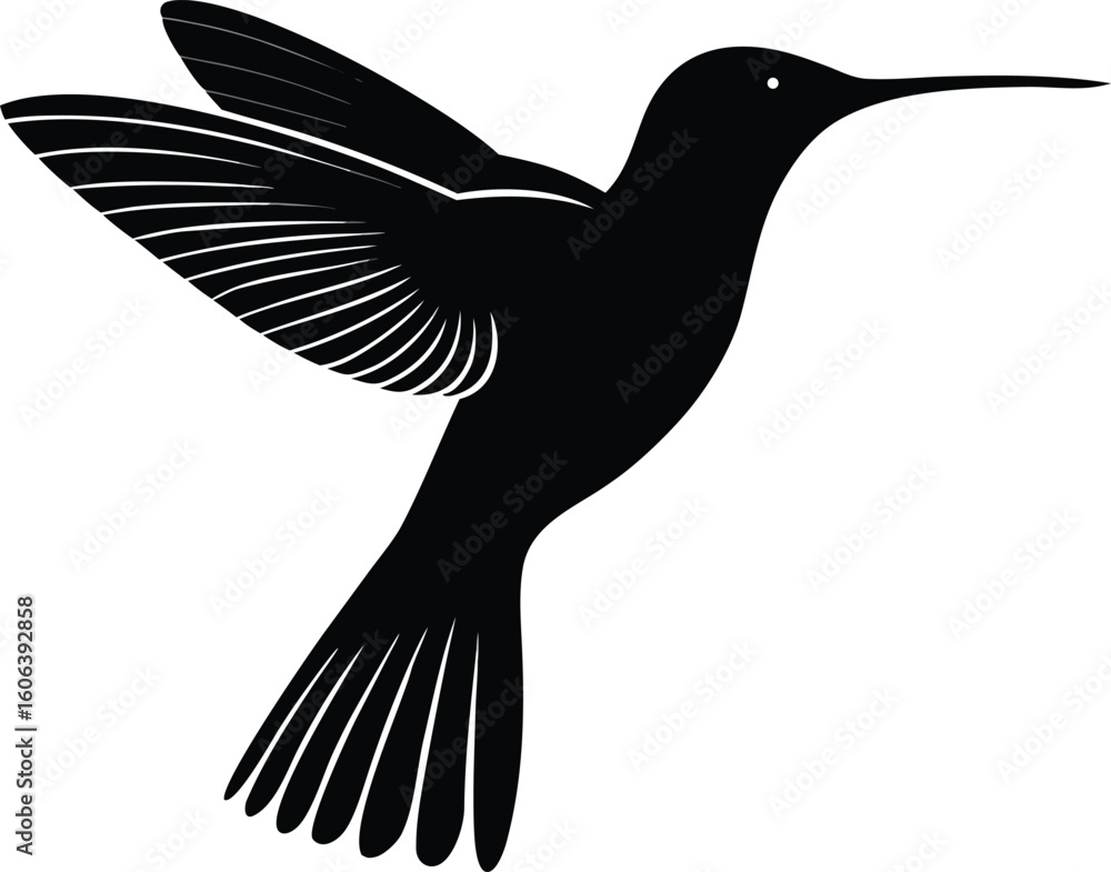 Fototapeta premium vector silhouette of humming bird