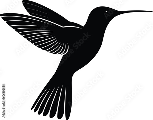 vector silhouette of humming bird