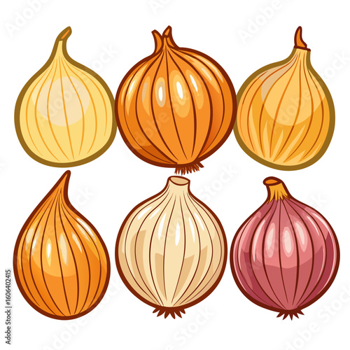 A colorful illustration showcasing six different onion varieties including yellow white red and brown arranged in a grid pattern against a clean white background Cartoon