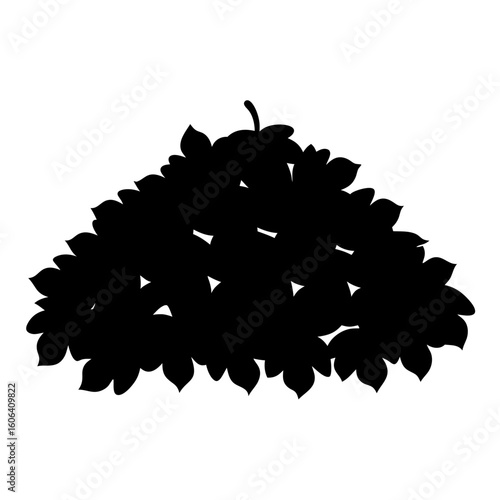 Dense cluster of leaves forming an irregular shape in silhouette