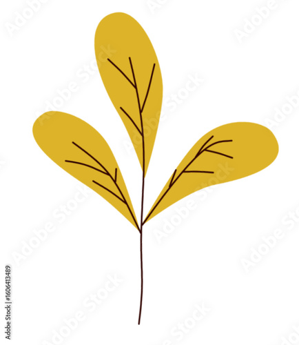 golden autumn leaves