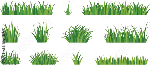 Green Grass Clumps Collection on White Background Lawn Grass Fresh Greenery