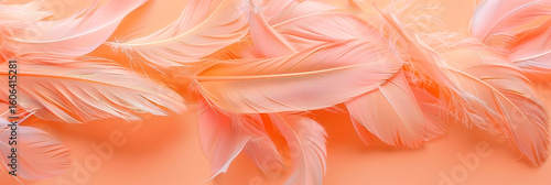 Wallpaper Mural Coral pink pastel feather background Torontodigital.ca