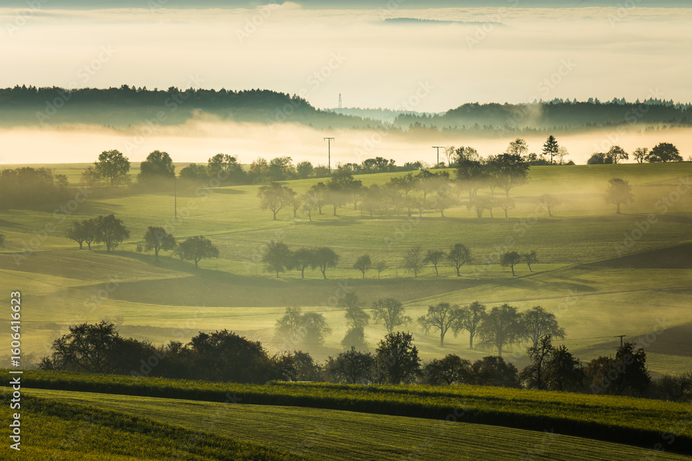 Obraz premium A tranquil autumn morning in the Hegau, Baden-Wuerttemberg, Germany. Rolling green hills and scattered trees are gently shrouded in mist, creating a calm, atmospheric landscape beneath a cloudy sky.