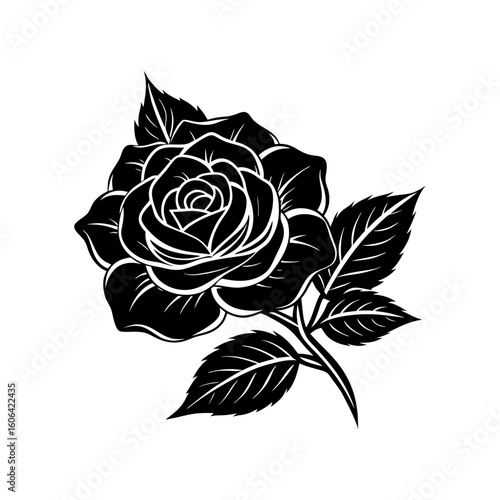 rosa carolina with leaf vector art