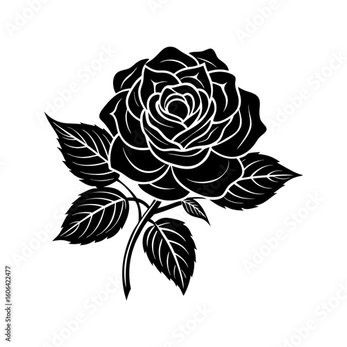 rosa carolina with leaf vector art