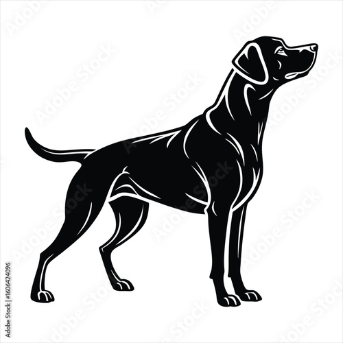 A striking black silhouette of a Labrador Retriever, captured in a proud stance, showcasing its sleek form and alert posture