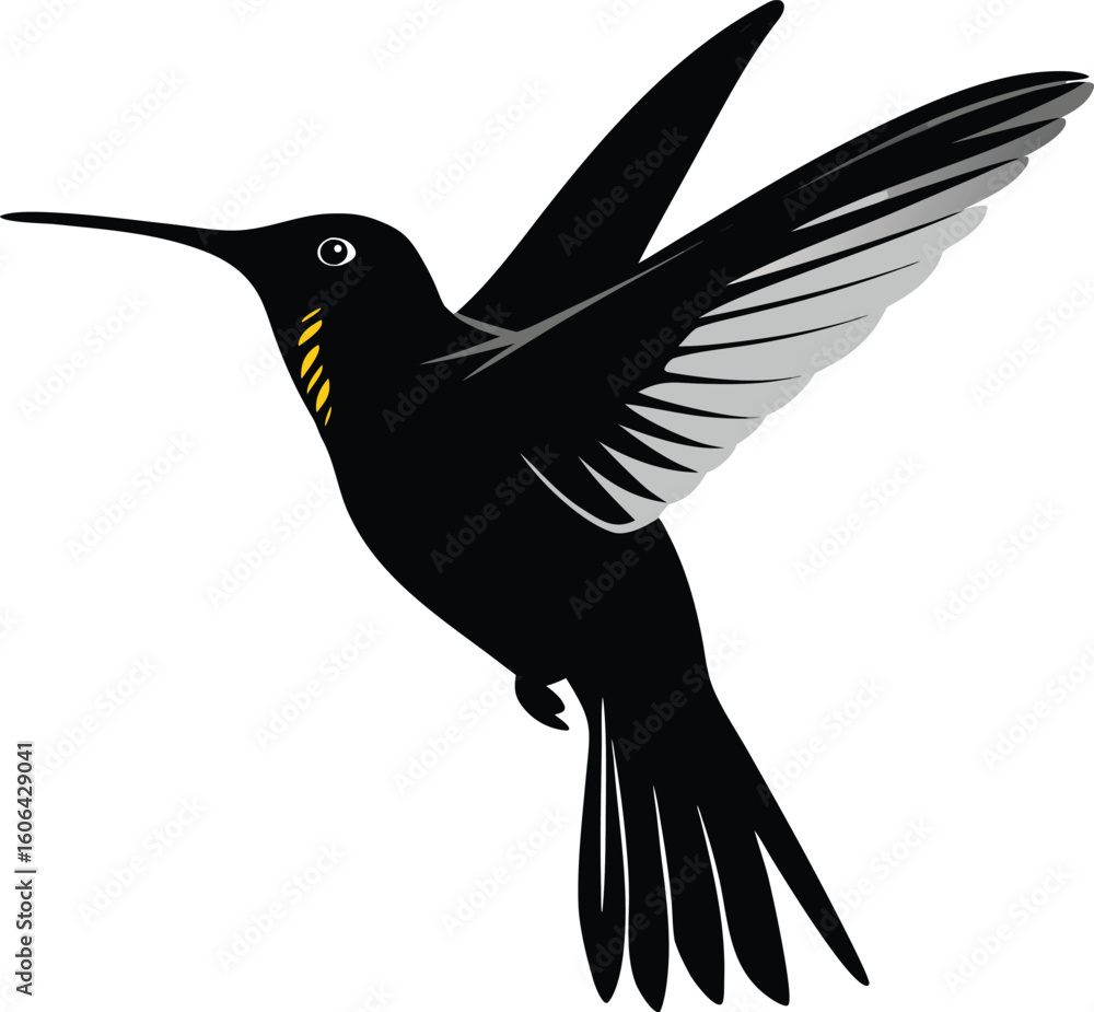 Obraz premium vector of black silhouette of humming bird