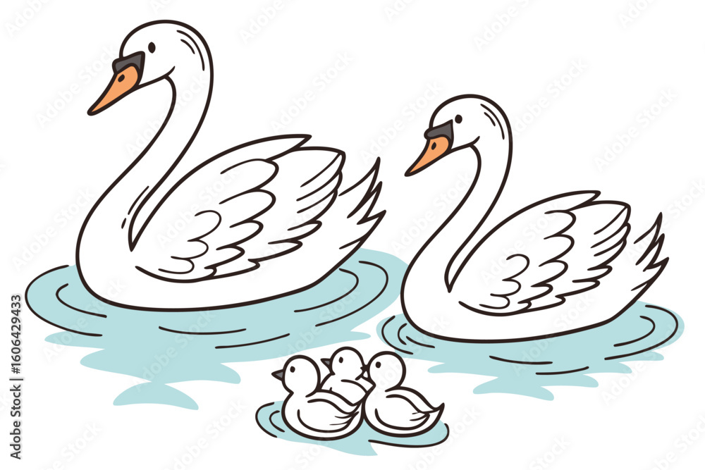 Fototapeta premium A Charming Swan Family Scene Swans and Ducklings Floating Peacefully on the Water