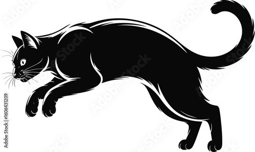 Black cat leaping with white highlights jumping animal