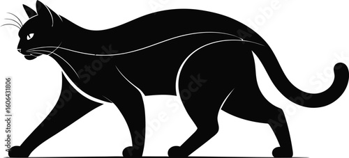 Black cat walking feline animal