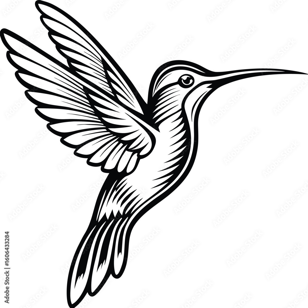 Obraz premium humming bird vector art silhouette