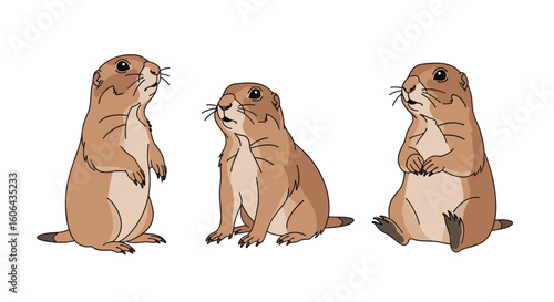 Three adorable prairie dogs standing sitting and watching the world go by