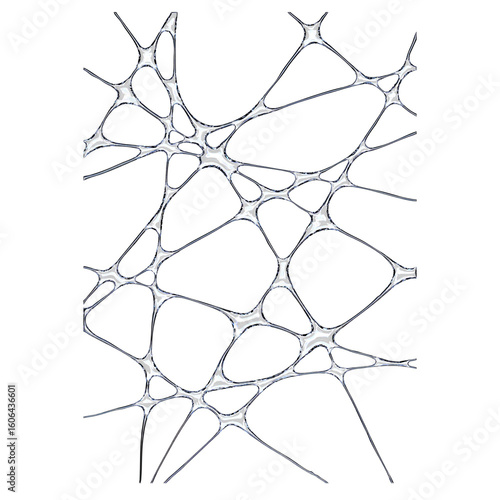 Cyber Tribal Chrome Symbol with Element