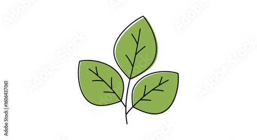 Simple hand drawn green leaves with black outline representing nature and growth
