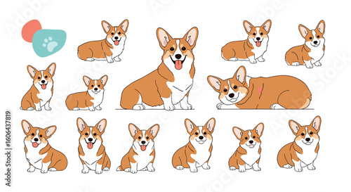 Cute pembroke welsh corgi pups displayed in various adorable poses and expressions for pet lovers collection