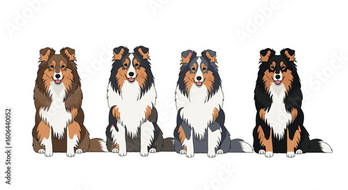 A charming collection of four adorable fluffy dogs sitting patiently in a row each with unique colorings showcasing their beautiful coats and friendly expressions
