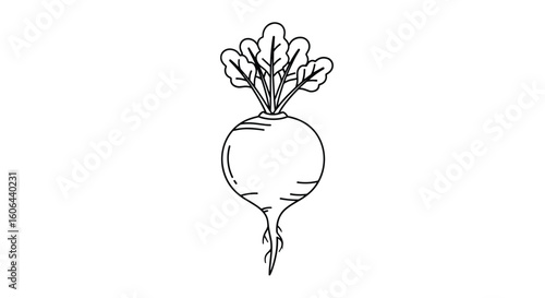 Vibrant root vegetable with earthy flavors and nutritious greens healthy produce for culinary exploration and dietary wellness