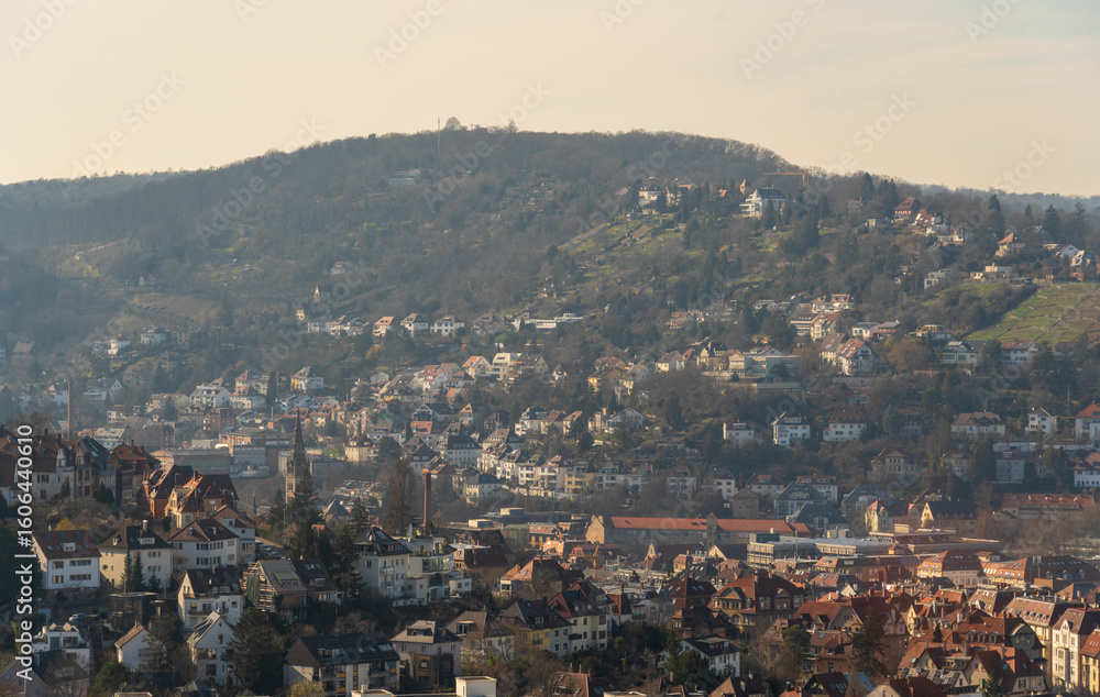Obraz premium Stuttgart Skyline Viewed from a Distance on a Clear Day