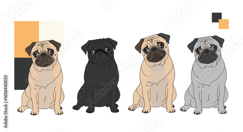 A charming collection of four adorable pugs sitting patiently together displaying their diverse coat colors
