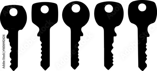 Vector art of five black silhouette keys of varying sizes