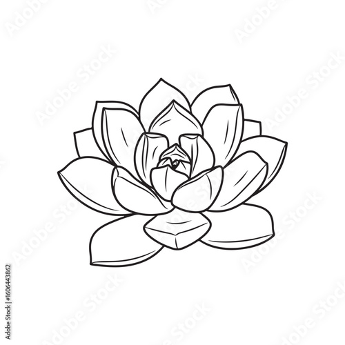 black and white line drawing of a succulent or flowering plant with intricate, overlapping petals or leaves. The overall shape resembles a rosette or spiral pattern, creating a visually striking and g
