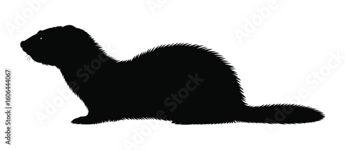 Silhouette of a playful ferret sitting on a white background