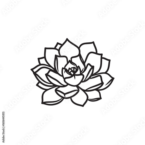 black and white line drawing of a succulent or flowering plant with intricate, overlapping petals or leaves. The overall shape resembles a rosette or spiral pattern, creating a visually striking and g