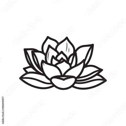 black and white line drawing of a succulent or flowering plant with intricate, overlapping petals or leaves. The overall shape resembles a rosette or spiral pattern, creating a visually striking and g