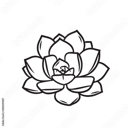 black and white line drawing of a succulent or flowering plant with intricate, overlapping petals or leaves. The overall shape resembles a rosette or spiral pattern, creating a visually striking and g