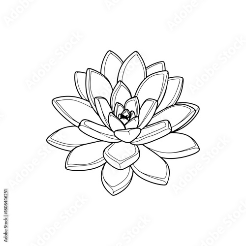 black and white line drawing of a succulent or flowering plant with intricate, overlapping petals or leaves. The overall shape resembles a rosette or spiral pattern, creating a visually striking and g