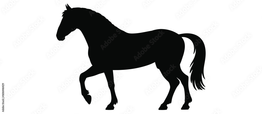 Fototapeta premium Elegant black silhouette of a horse standing proudly