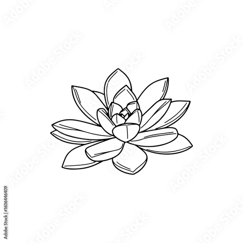 black and white line drawing of a succulent or flowering plant with intricate, overlapping petals or leaves. The overall shape resembles a rosette or spiral pattern, creating a visually striking and g