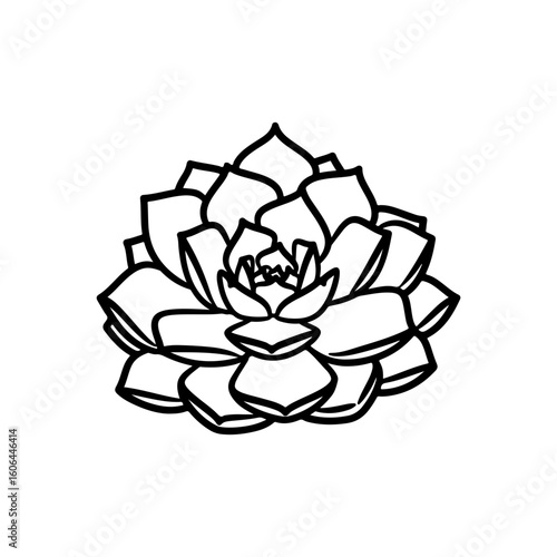 black and white line drawing of a succulent or flowering plant with intricate, overlapping petals or leaves. The overall shape resembles a rosette or spiral pattern, creating a visually striking and g