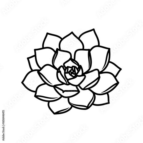 black and white line drawing of a succulent or flowering plant with intricate, overlapping petals or leaves. The overall shape resembles a rosette or spiral pattern, creating a visually striking and g