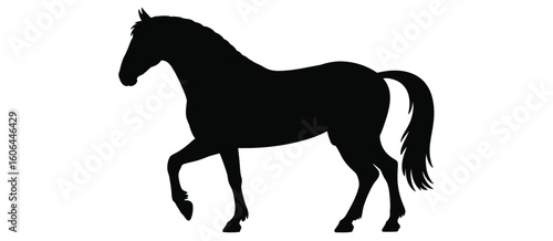 Elegant black silhouette of a horse standing proudly