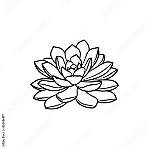 black and white line drawing of a succulent or flowering plant with intricate, overlapping petals or leaves. The overall shape resembles a rosette or spiral pattern, creating a visually striking and g