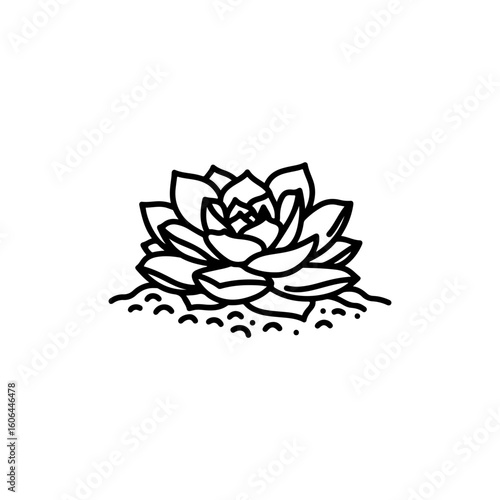 black and white line drawing of a succulent or flowering plant with intricate, overlapping petals or leaves. The overall shape resembles a rosette or spiral pattern, creating a visually striking and g