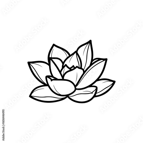 black and white line drawing of a succulent or flowering plant with intricate, overlapping petals or leaves. The overall shape resembles a rosette or spiral pattern, creating a visually striking and g
