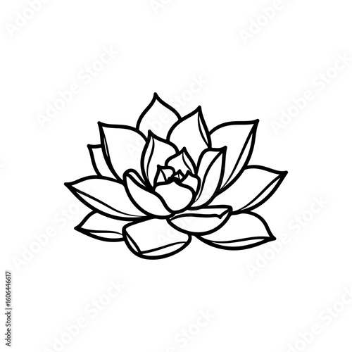 black and white line drawing of a succulent or flowering plant with intricate, overlapping petals or leaves. The overall shape resembles a rosette or spiral pattern, creating a visually striking and g