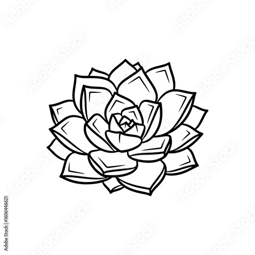 black and white line drawing of a succulent or flowering plant with intricate, overlapping petals or leaves. The overall shape resembles a rosette or spiral pattern, creating a visually striking and g